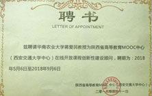 慕课顾问证书